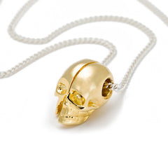 Da Vinci Skull Necklace