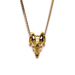 Parvus Ram Skull Necklace By 424